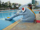 La piscine formée par éléphant de Mini Pool Slide Outdoor Commercial glisse adapté aux besoins du client