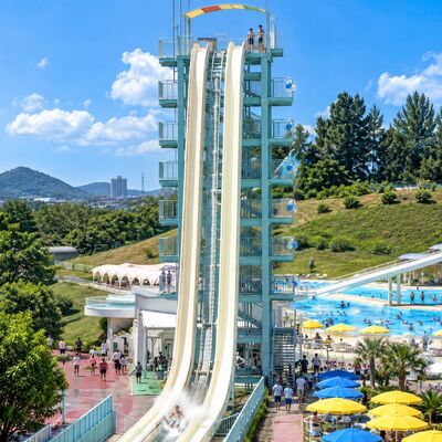qualité Toboggan aquatique à grande vitesse en fibre de verre avec chute abrupte et plusieurs pistes, attraction à sensations fortes pour parcs aquatiques, conception personnalisée Usine