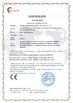 La Chine Guangdong Dapeng Amusement Technology Co., Ltd. certifications