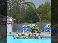 Équipement pour les parcs aquatiques OEM, Spray d'eau de cactus